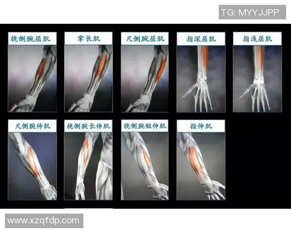 武汉羽毛球队技术表现分析与提升策略探讨 武汉羽毛球队技术表现分析与提升策略探讨