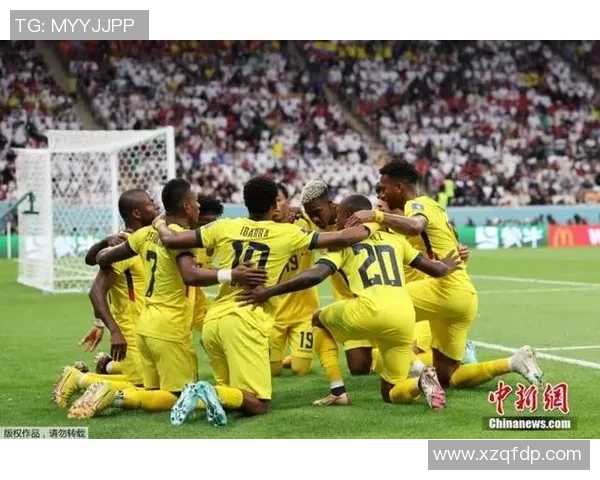 深圳排球队在杯赛中的精彩表现与实力分析 深圳排球队在杯赛中的精彩表现与实力分析