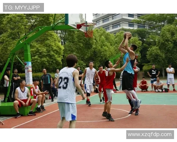 杭州篮球队的现状揭秘与未来展望:巨星与新秀的精彩对决 杭州篮球队的现状揭秘与未来展望:巨星与新秀的精彩对决