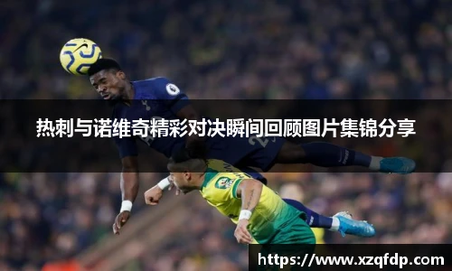 热刺与诺维奇精彩对决瞬间回顾图片集锦分享